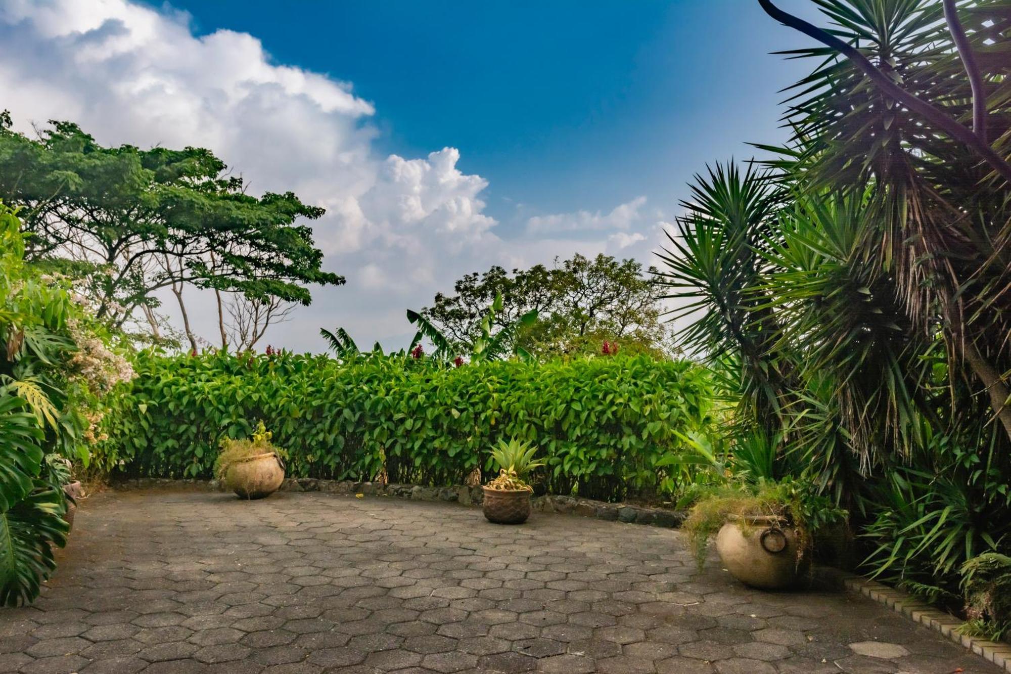 Finca Rosa Blanca Coffee Farm And Inn エレディア エクステリア 写真